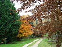 La petite maison de Sologne